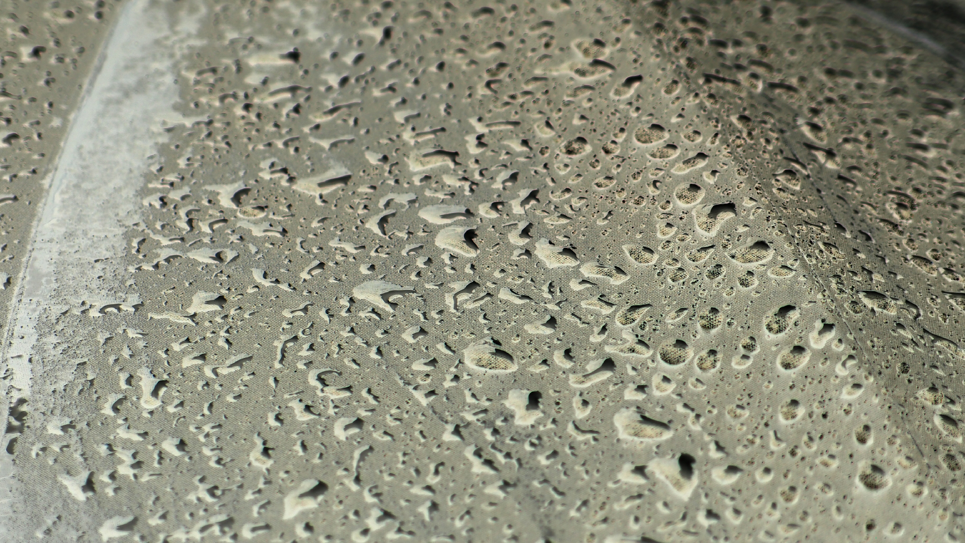 2021-08 Das Kleine Regen Rhythmus Orchester (Audio, Video, Grafk, Foto)